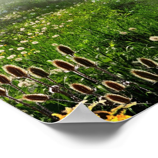 牧草地トレイル ポスター (角)