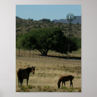 牧草地パーフェクト ポスター