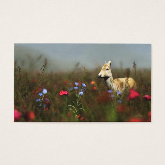 牧草地ブックマークに移動 (正面)