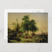 牧草地 ポストカード (正面/裏面)