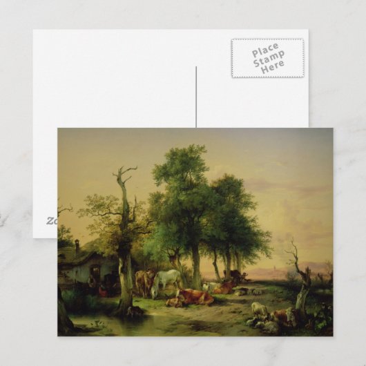 牧草地 ポストカード (正面/裏面)