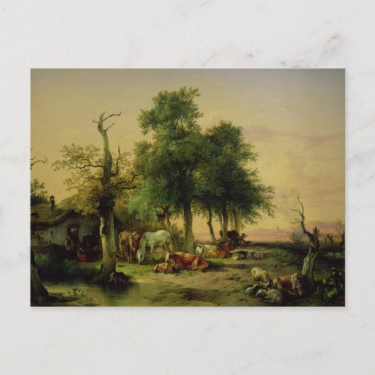 牧草地 ポストカード (正面)