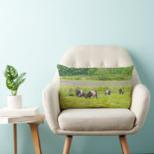 牧草地Rockportメインのギャロウェーベルトを付けられた牛 ランバークッション (椅子)