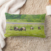 牧草地Rockportメインのギャロウェーベルトを付けられた牛 ランバークッション (ブランケット)