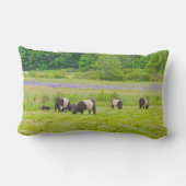 牧草地Rockportメインのギャロウェーベルトを付けられた牛 ランバークッション (裏面)