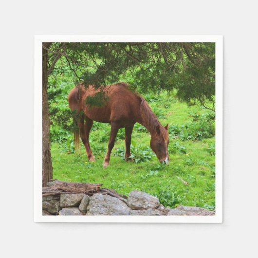 牧草紙ナプキンの馬の放牧 スタンダードカクテルナプキン (正面)