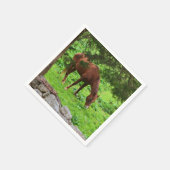 牧草紙ナプキンの馬の放牧 スタンダードカクテルナプキン (角)
