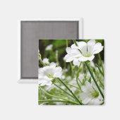 牧草花 マグネット (正面/裏面)