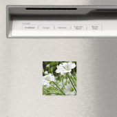 牧草花 マグネット (インサイチュ (食洗機))