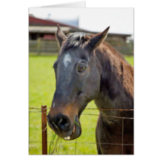 物の言えない馬カード