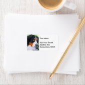 物乞いベルネーゼ ラベル (インサイチュ)