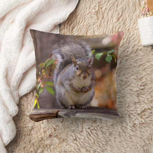 物乞いリス クッション (ブランケット)