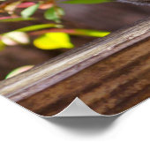 物乞いリス ポスター (角)