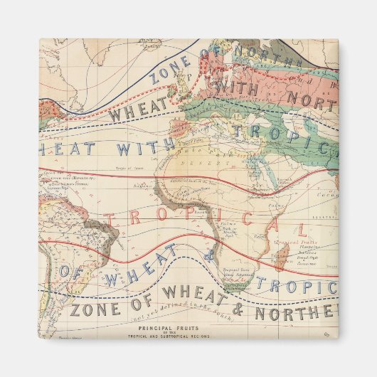 物流工場 マグネット (正面)