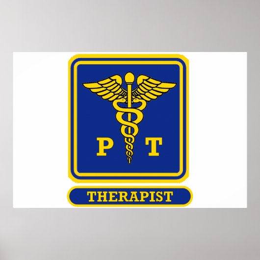物理セラピスト ポスター (正面)
