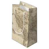 物理的な世界地図 スモールペーパーバッグ (正面アングル)