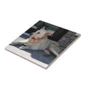 物語との犬 タイル (側面)