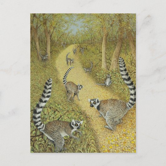 物語を語る ポストカード (正面)