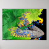 物質の振動 ポスター (正面)