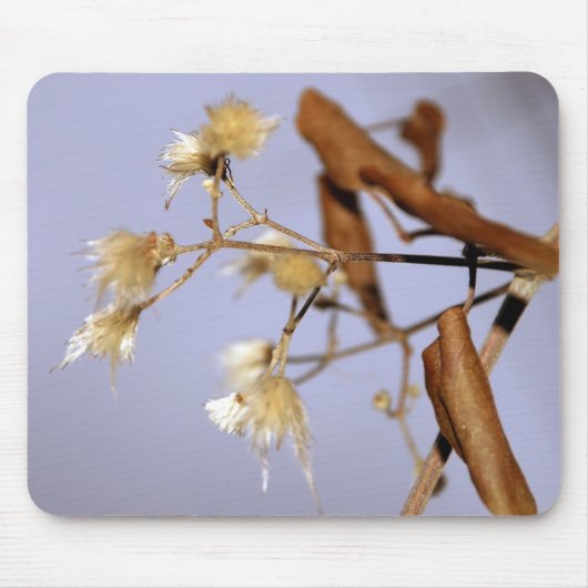 物 マウスパッド (正面)