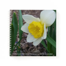 物Iが好きなノートPC: RoseWrites