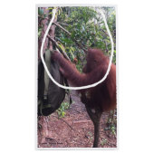 特別でかわいい動物の最も最高のなギフト スモールペーパーバッグ (裏面)