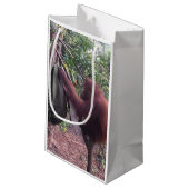 特別でかわいい動物の最も最高のなギフト スモールペーパーバッグ (裏面アングル)