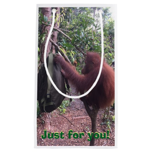 特別でかわいい動物の最も最高のなギフト スモールペーパーバッグ (正面)