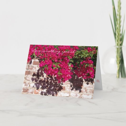 特別なカードがありません シーズンカード (正面)