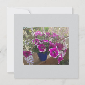 特別なメッセージまたは発表のためのフラットカード カード