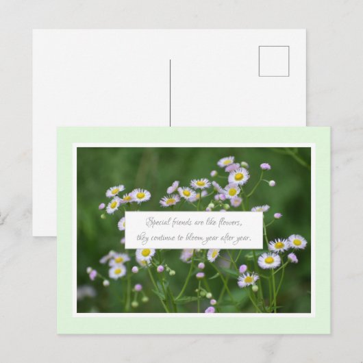 特別な友情 ポストカード (正面/裏面)