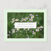 特別な友情 ポストカード (正面)