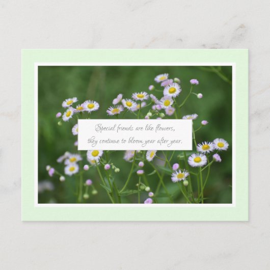 特別な友情 ポストカード (正面)