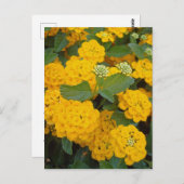 特別な友達に贈るポジティブな黄色の花 ポストカード (正面/裏面)