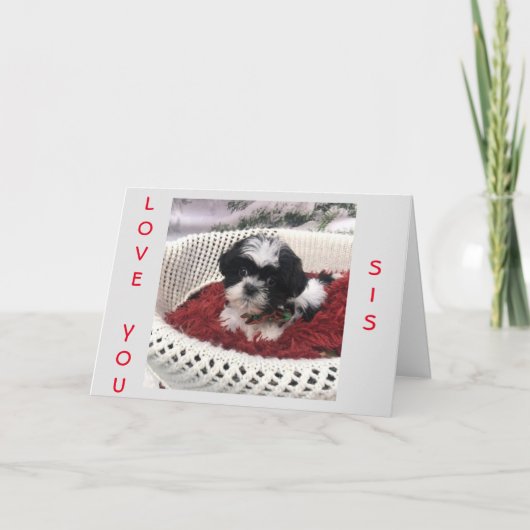 特別な姉妹に幸*****母の日!**** カード (正面)