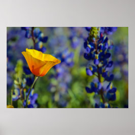 特別な存在 ポスター