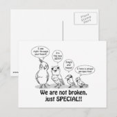 特別な支援が必要な鳥たち ポストカード (正面/裏面)