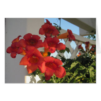 特別な日の失わせた人を慰めるカード