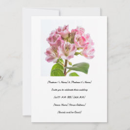 特別な日をおいしいカルミアで祝おう 招待状