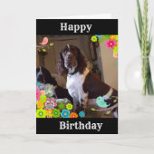 「特別な日、特別な「あなた」が言うスパニエル犬  カード (正面)