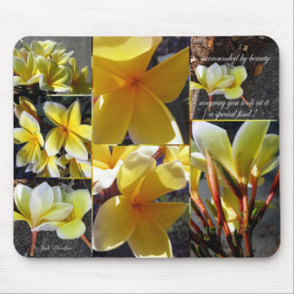 特別な発見 マウスパッド