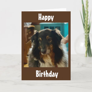特別な誕生日の子犬のお願い カード