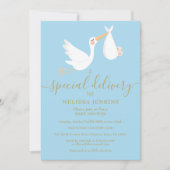 特別な配送ストークベビーの散水/シャワー 招待状 (正面)