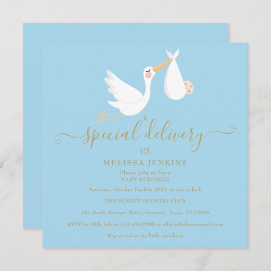 特別な配達をするコウテイペンギンの赤ちゃんシャワー / お披露目パーティー 招待状 (正面/裏面)