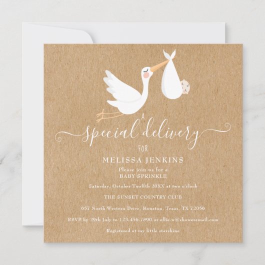 特別な配達コウノトリ赤ちゃんシャワー/散水器 招待状 (正面)