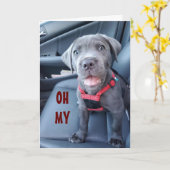 特別な50誕生日が特別な子犬から願う カード (黄色い花)