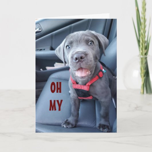 特別な60誕生日が特別な子犬に願う カード (正面)