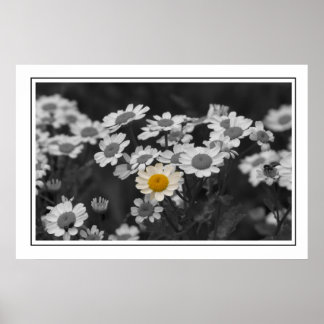 特別デイジー ポスター