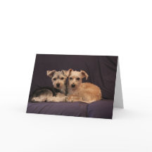 特別友情グリーティングカード