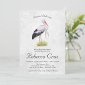 特別引渡し |水エレガント色ストークベビー (スタンド正面)